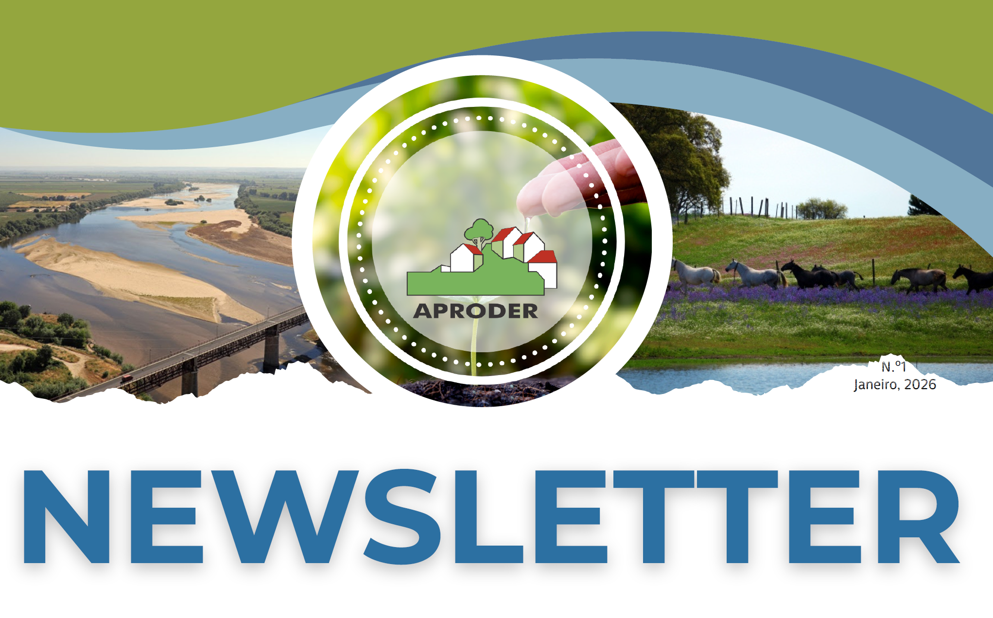 Newsletter - Janeiro 2026