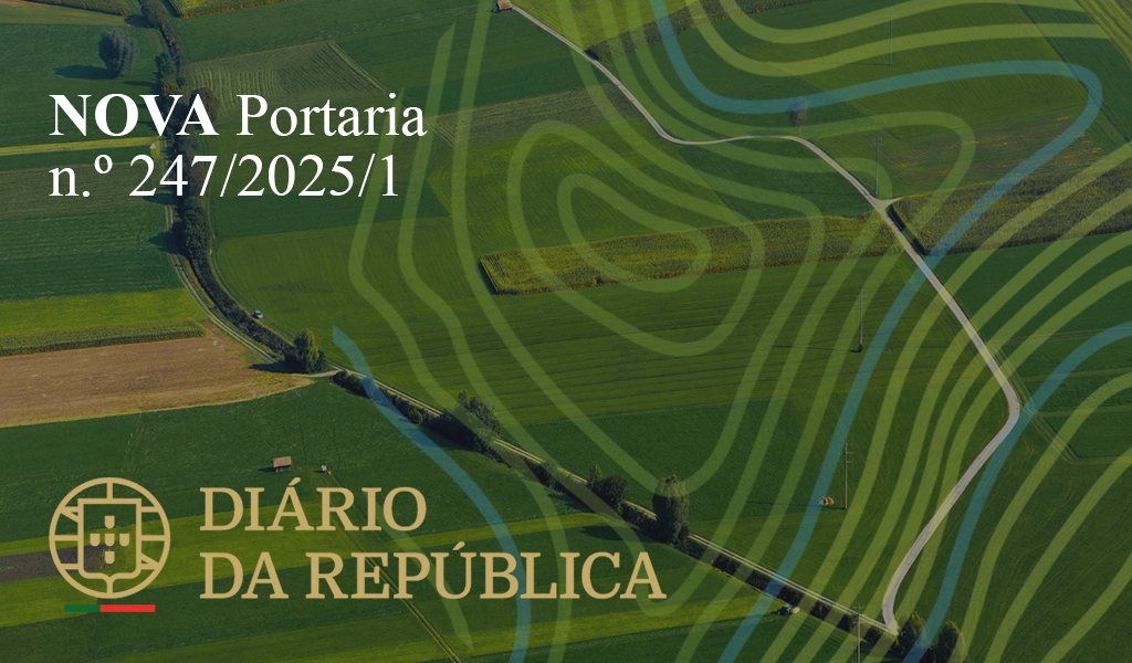 Publicação da Portaria n.º 247/2025/1